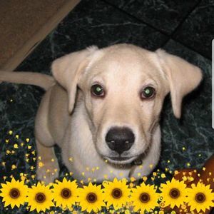 Meet your Posher, Marcia